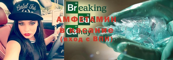 ПСИЛОЦИБИНОВЫЕ ГРИБЫ Щучье