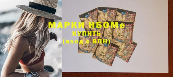 тгк Щёлкино