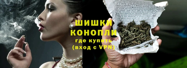ПСИЛОЦИБИНОВЫЕ ГРИБЫ Щучье