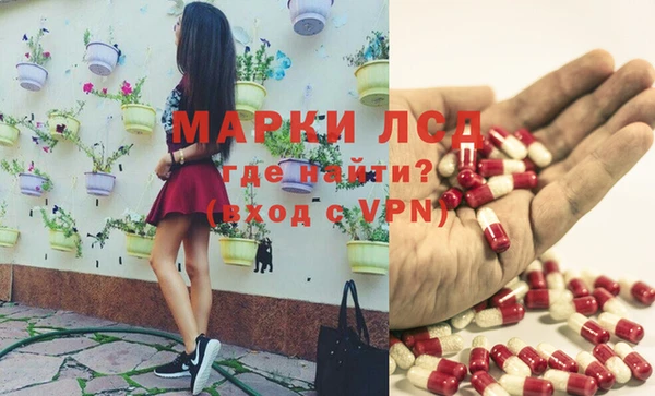 ПСИЛОЦИБИНОВЫЕ ГРИБЫ Щучье