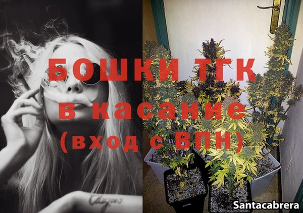 ПСИЛОЦИБИНОВЫЕ ГРИБЫ Щучье