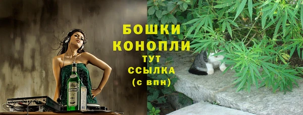 ПСИЛОЦИБИНОВЫЕ ГРИБЫ Щучье