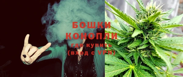 ПСИЛОЦИБИНОВЫЕ ГРИБЫ Щучье