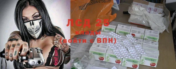 ПСИЛОЦИБИНОВЫЕ ГРИБЫ Щучье