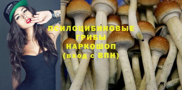 тгк Щёлкино