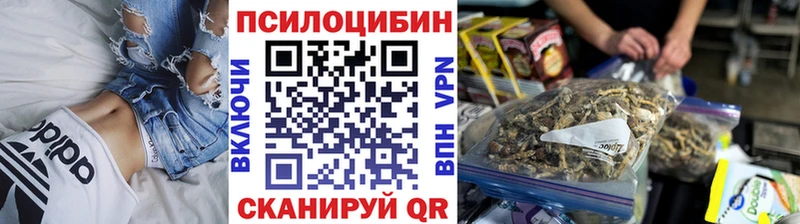 Галлюциногенные грибы Magic Shrooms  Купить закладки  Александровск-Сахалинский 